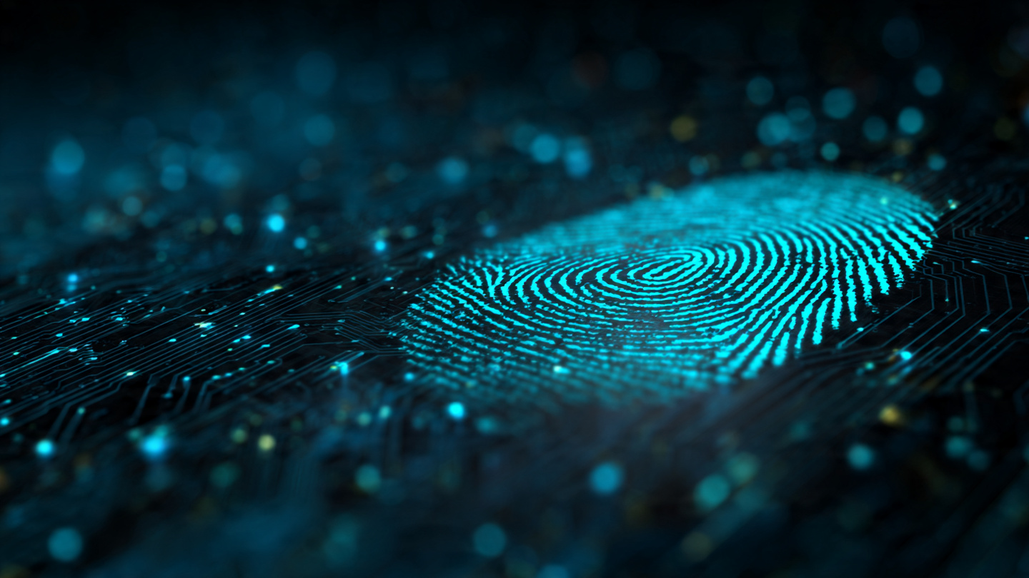 Contact Background